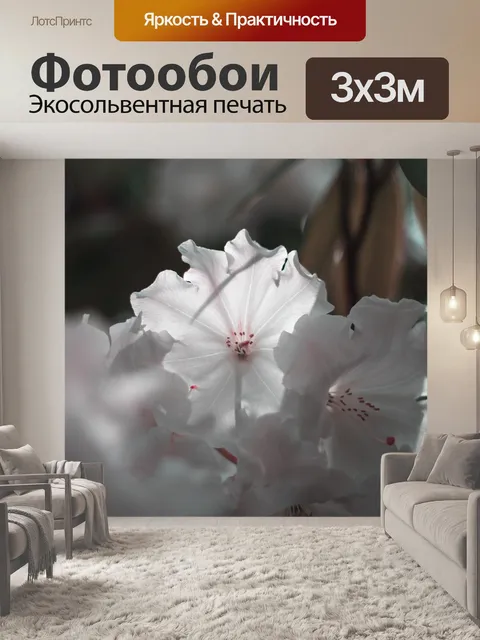 Фотообои Природа