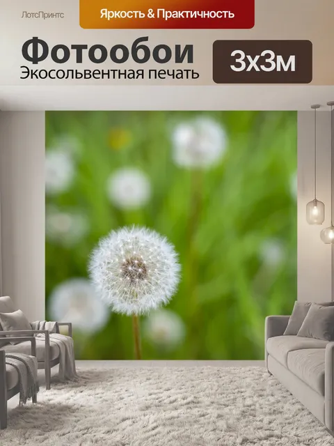 Фотообои Одуванчик