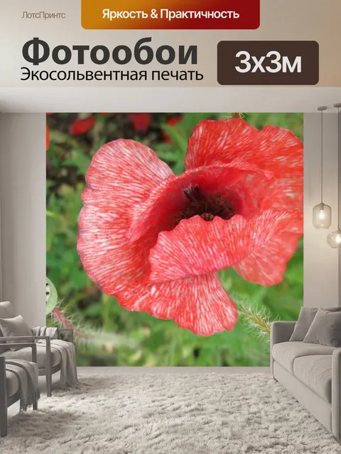 Фотообои Маки
