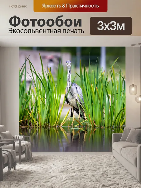 Фотообои Цапля