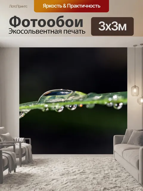 Фотообои Дождь