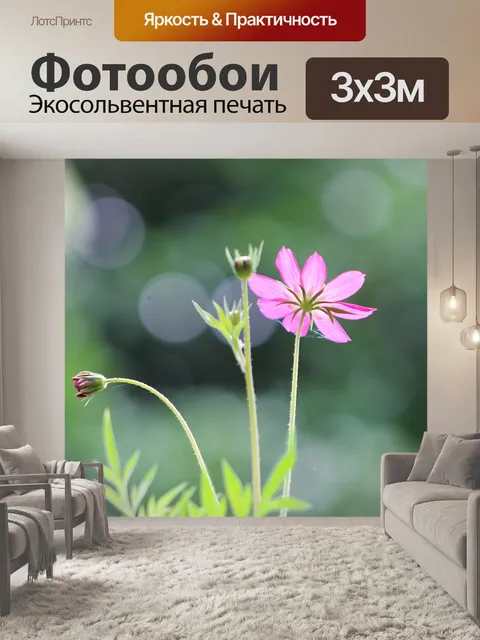 Фотообои Цветы