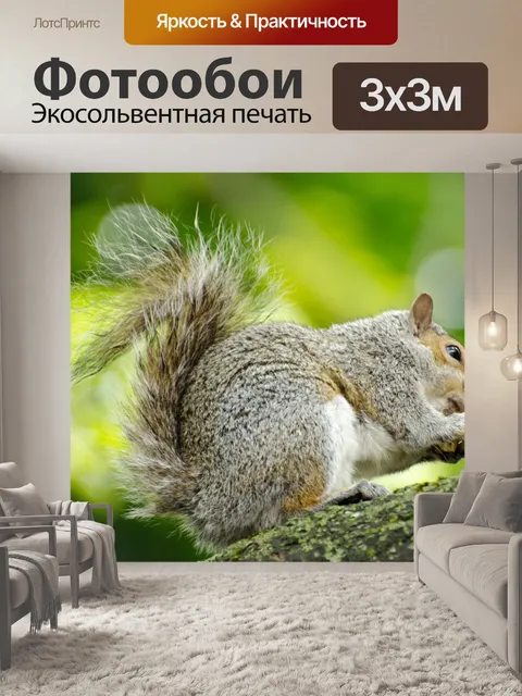Фотообои Белка
