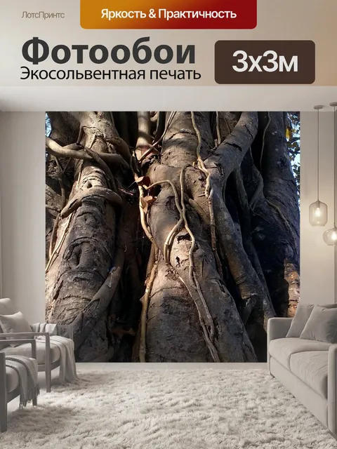Фотообои Лес