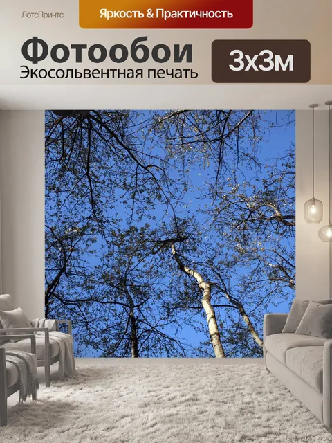 Фотообои Деревья