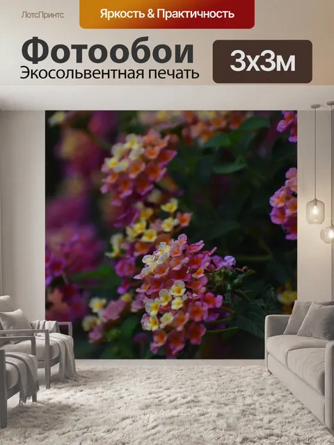 Фотообои Цветок
