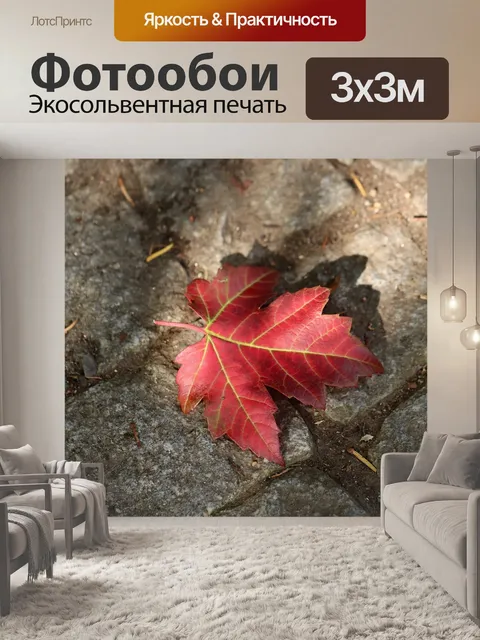 Фотообои Клен