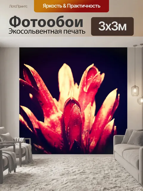 Фотообои Красивый цветок в природе