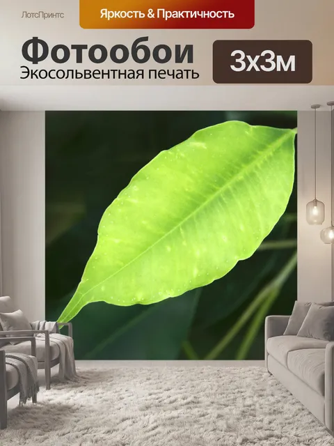 Фотообои Свежий leaf
