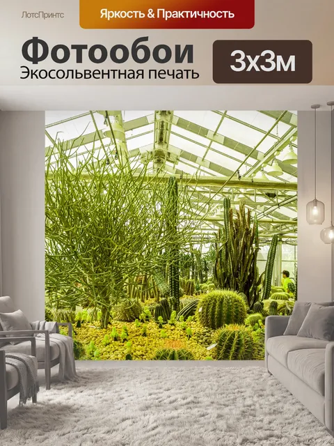 Фотообои Кактусовое пустынное растение