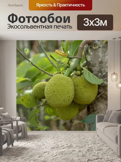 Фотообои Фрукты