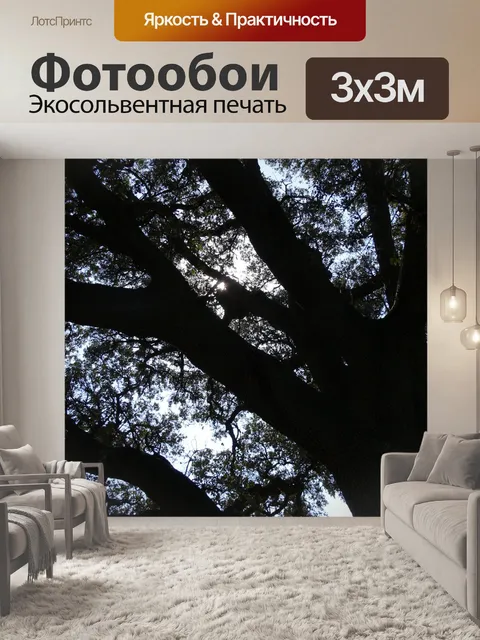 Фотообои Дерево