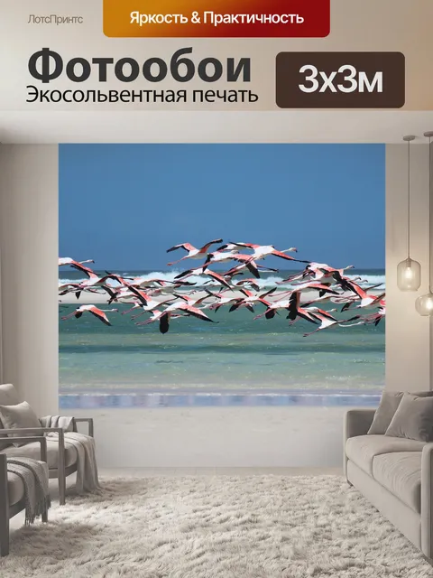 Фотообои Фламинго