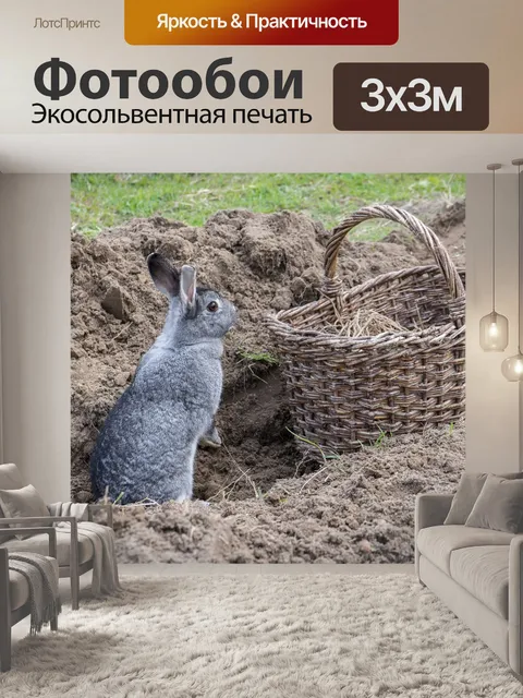 Фотообои Кролик шиншилла