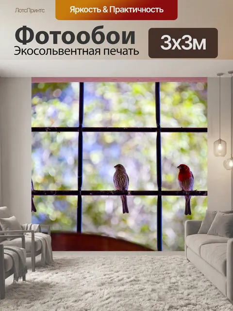 Фотообои Три Робинс