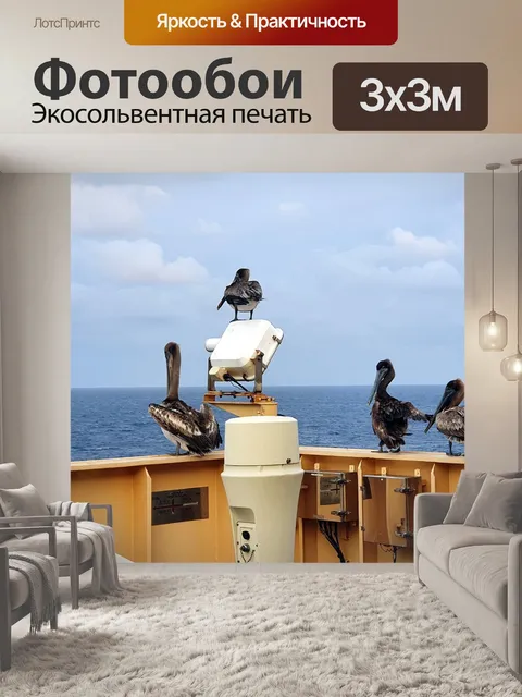 Фотообои Птица