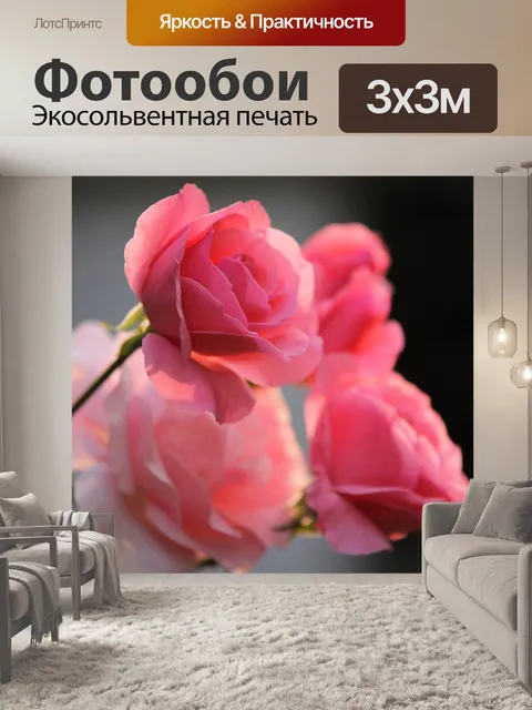 Фотообои Розовые розы папийон