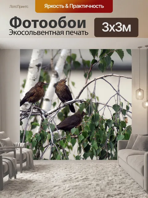 Фотообои Птицы