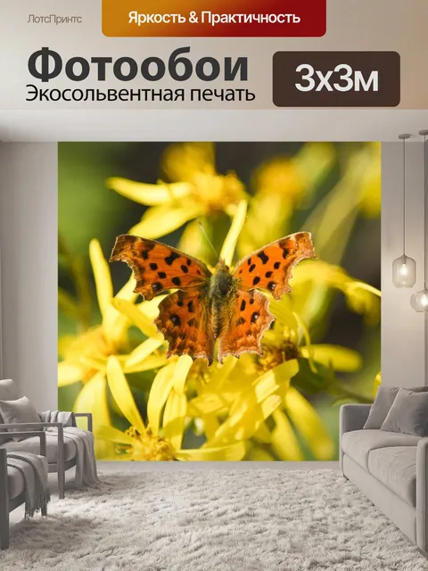Фотообои Бабочка