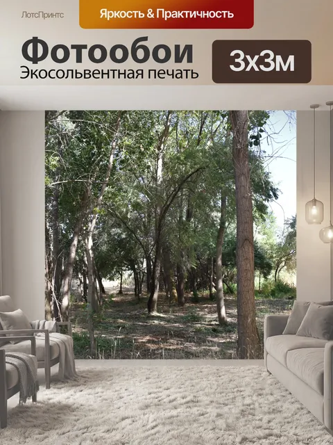 Фотообои Путь через деревья