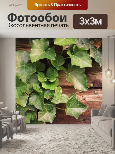 Фотообои зеленые листья