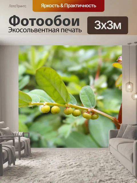 Фотообои Маленькие