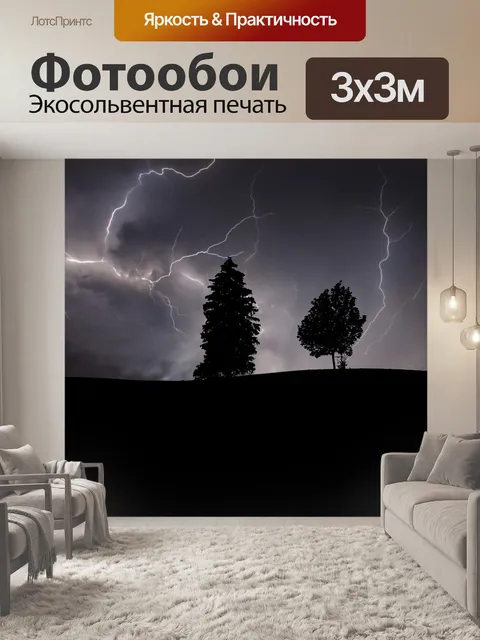Фотообои Буря