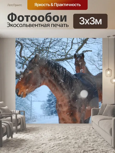 Фотообои Лошадь