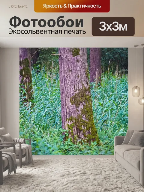 Фотообои Лес