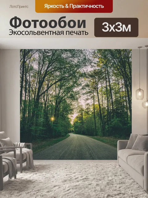 Фотообои Асфальт