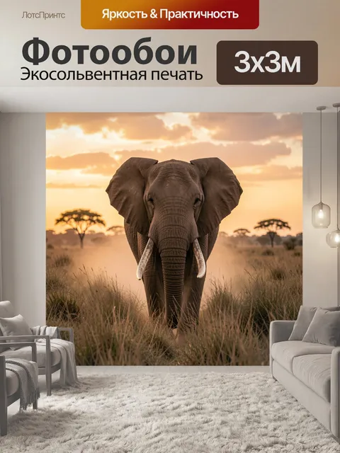 300 × 300 см · Экосольвентная печать