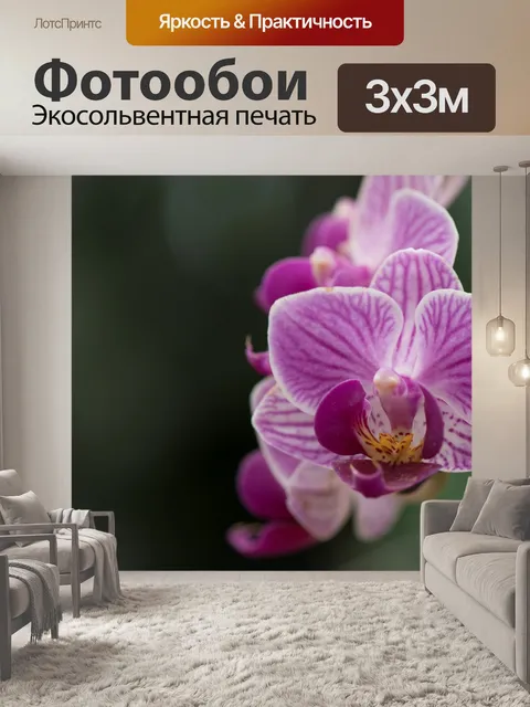Фотообои Орхидея