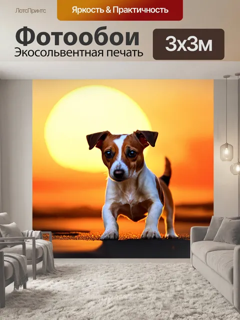 Фотообои фото старинного джаза с джек рассел терьером