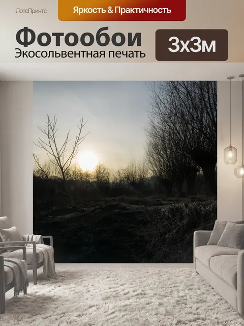 Фотообои Солнце