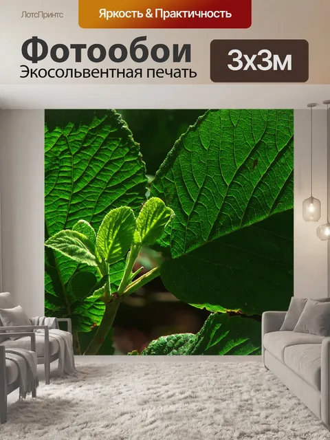 Фотообои Листья