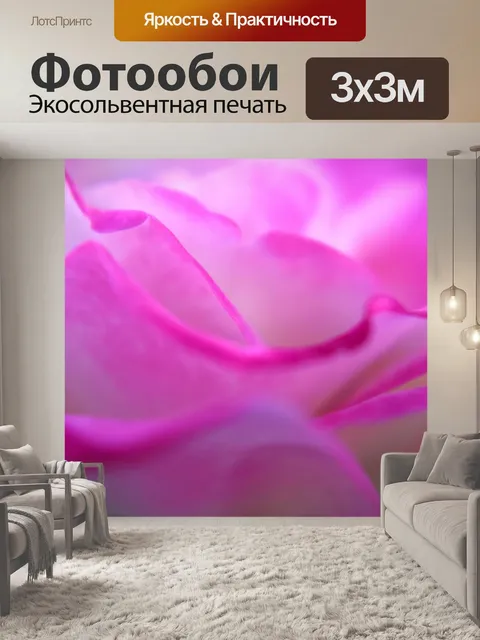 Фотообои Роза 16