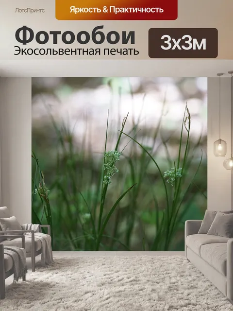 Фотообои Камыш