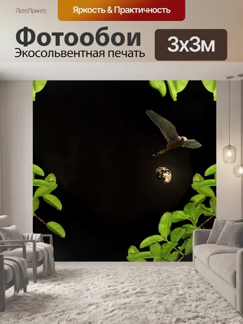 Фотообои Луна
