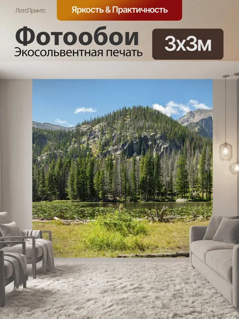 Фотообои Лес