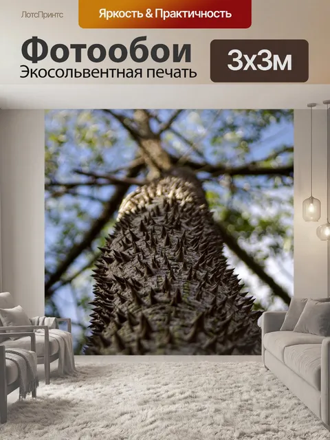 Фотообои Дерево