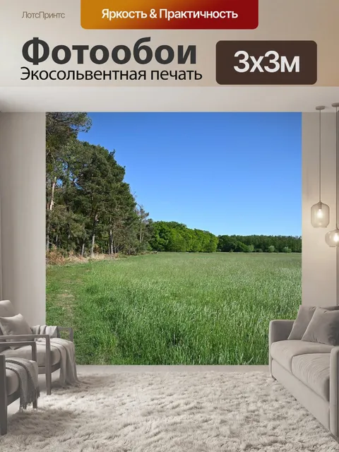Фотообои Лес