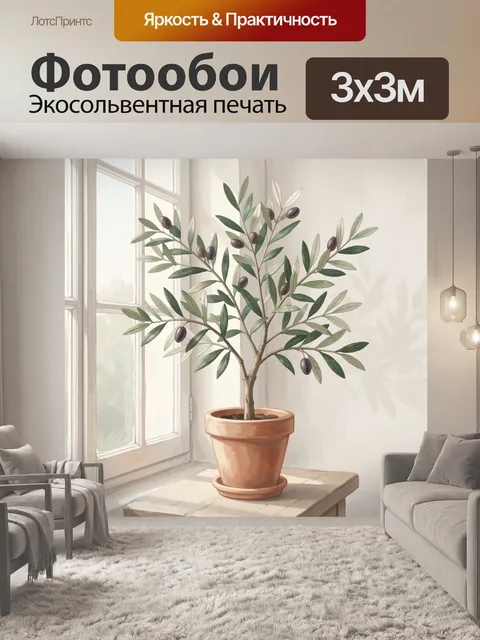 Фотообои Оливковая ветвь в горшке