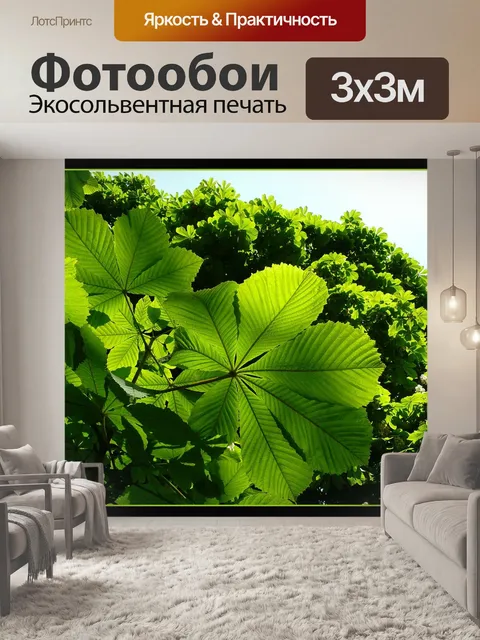 Фотообои Листья