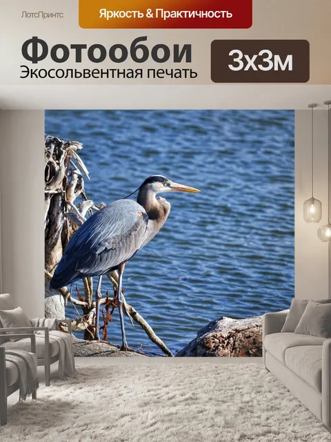 Фотообои Голубая цапля
