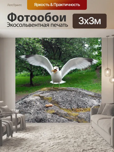 Фотообои Чайка