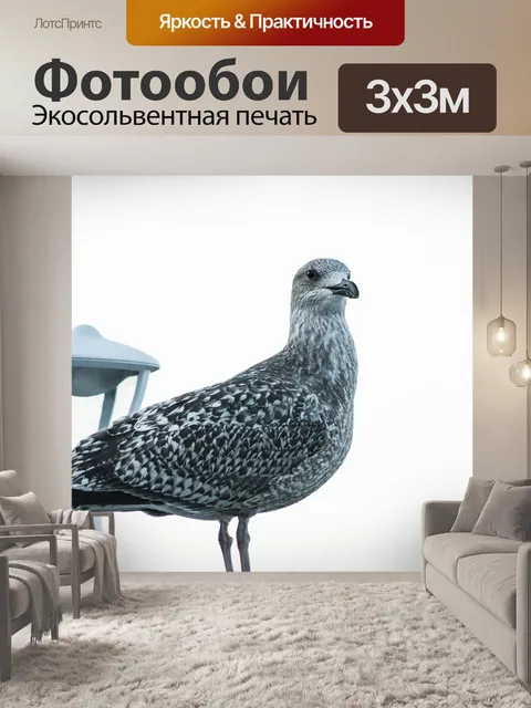 Фотообои Птица