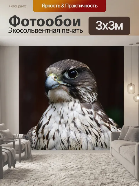 Фотообои Птица