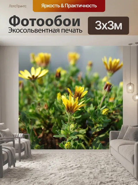 Фотообои Цветы