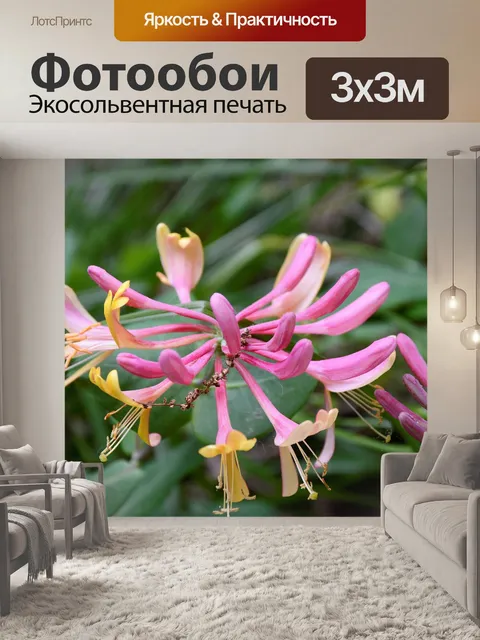 Фотообои Цветы
