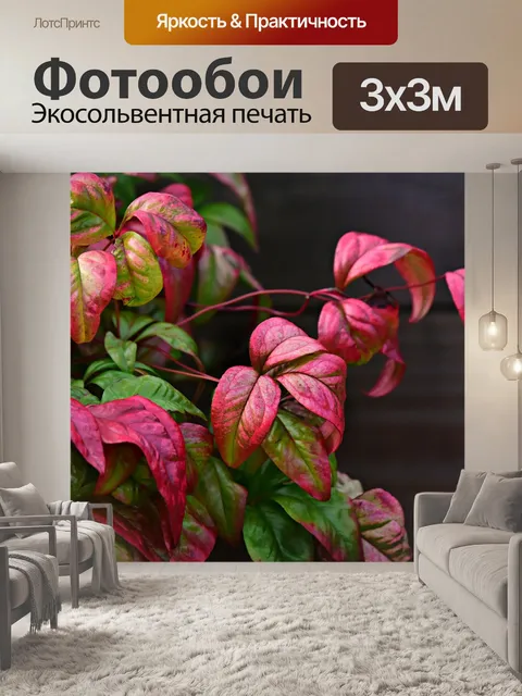 Фотообои Листья
